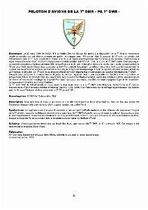 610 LES INSIGNES DE L ALAT EN AFN PAR CHRISTIAN MALCROS_000029